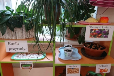 Kącik przyrody